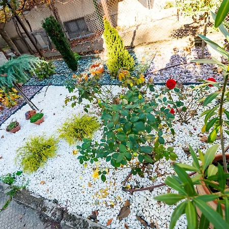Coworking & Coliving