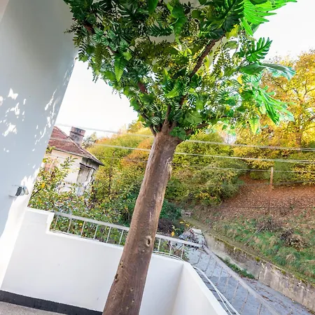 Coworking & Coliving