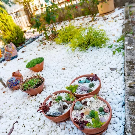 Coworking & Coliving * Девин