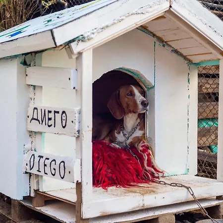 شقة Coworking & Coliving