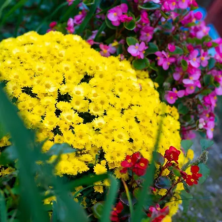 شقة Coworking & Coliving