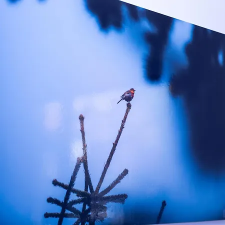 Coworking & Coliving Апартамент Девин