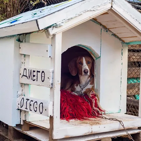 Coworking & Coliving شقة *