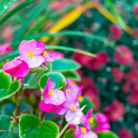 Coworking & Coliving Девин