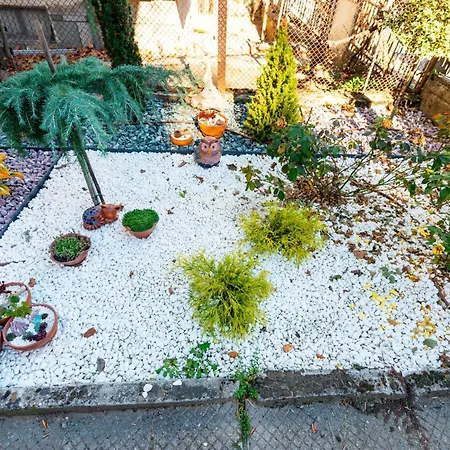 Coworking & Coliving Апартамент Девин