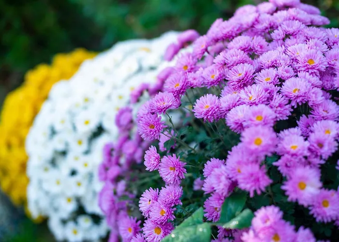 Coworking & Coliving * Devín