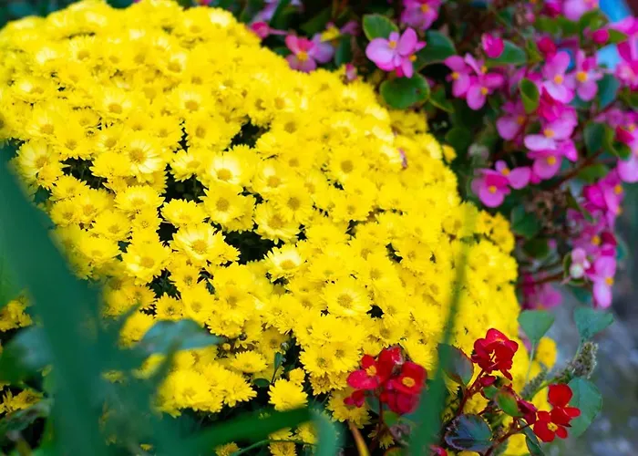 Apartament Coworking & Coliving