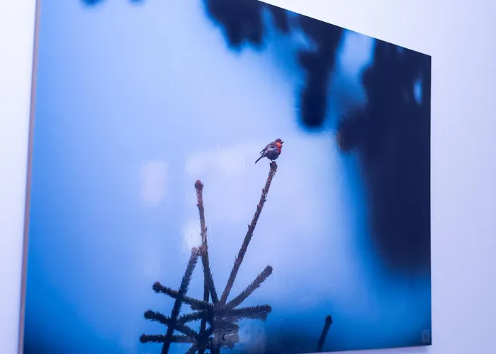 Coworking & Coliving Apartament Devín