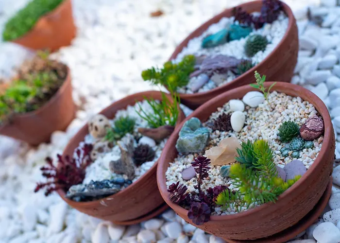 Apartament Coworking & Coliving