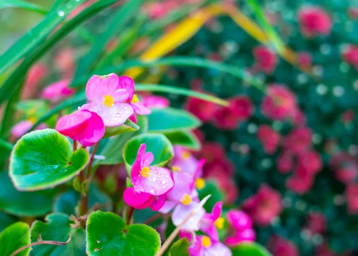 Coworking & Coliving Devín