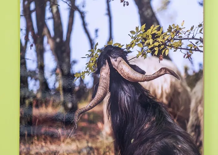 Coworking & Coliving * Devín