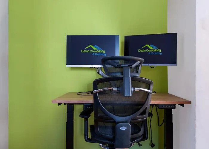 Coworking & Coliving Apartament